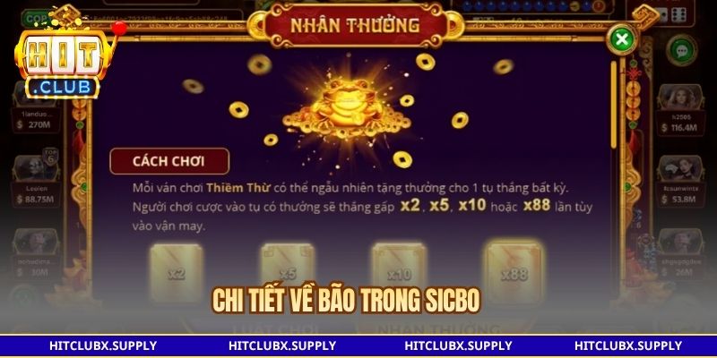 Chi tiết về Bão trong Sicbo