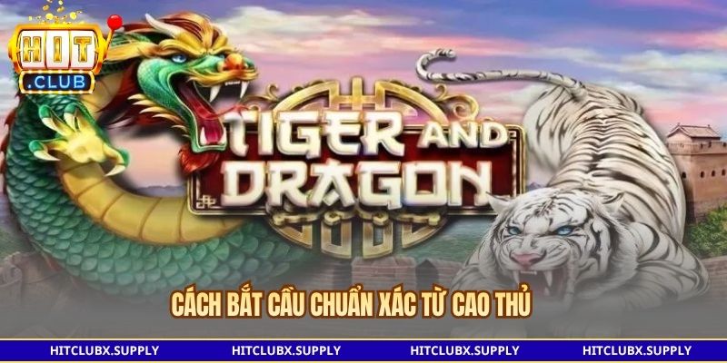 Cách bắt cầu chuẩn xác từ cao thủ